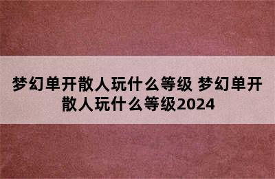 梦幻单开散人玩什么等级 梦幻单开散人玩什么等级2024